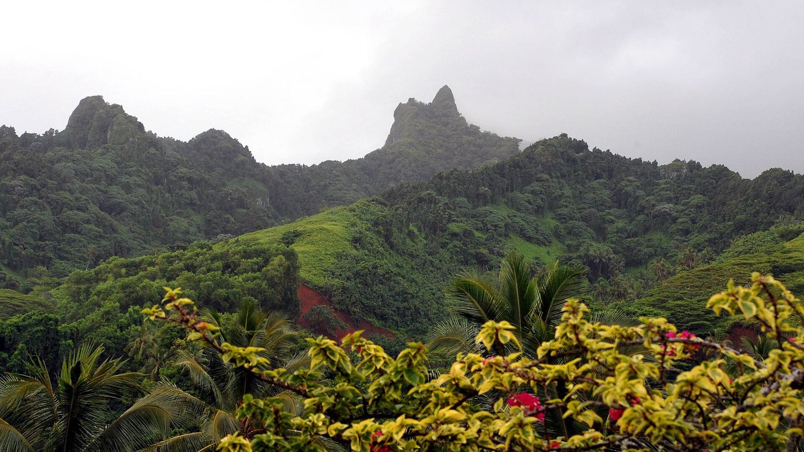Groene, grillige bergtoppen in het binnenland van Rarotonga met bloeiende struiken op de voorgrond