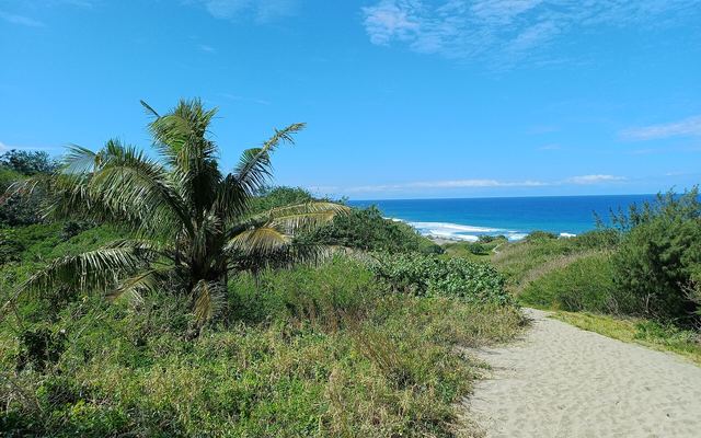 Zandpad door de begroeide duinen van Sigatoka met zicht op zee