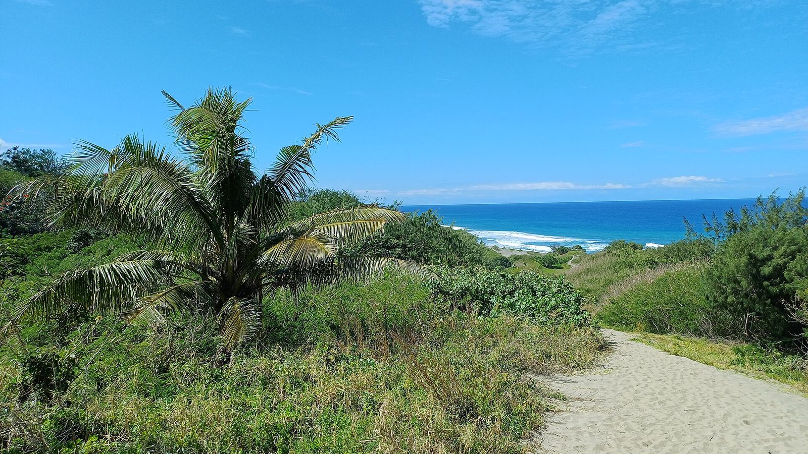 Zandpad tussen begroeide duinen in Sigatoka Sand Dunes National Park met de oceaan op de achtergrond