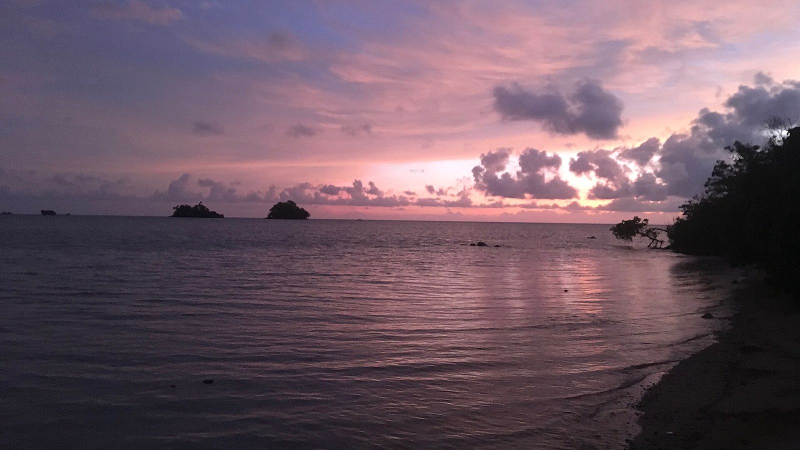 Zonsopkomst met roze wolken boven een rustige zee vanaf de kust van Taveuni