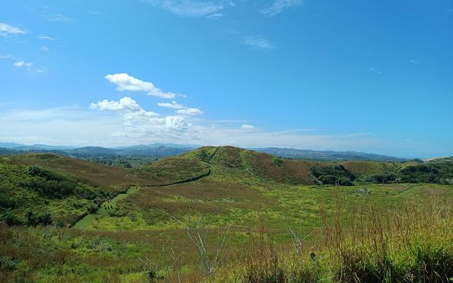 Begroeide duinen in Sigatoka Sand Dunes National Park