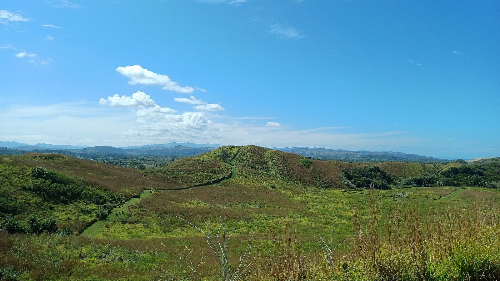 Begroeide duinen in Sigatoka Sand Dunes National Park