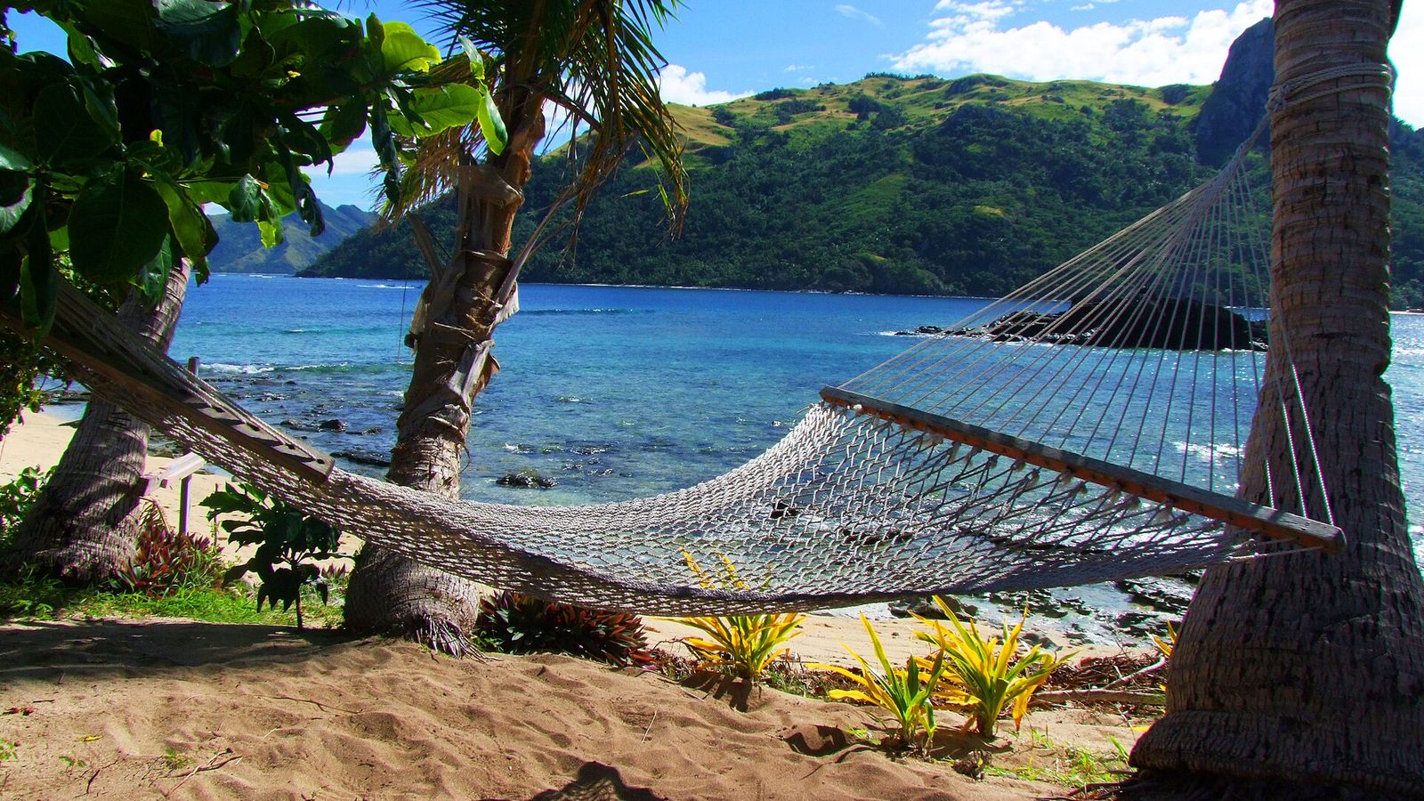Hangmat tussen palmen op Kuata in de Yasawa-eilanden