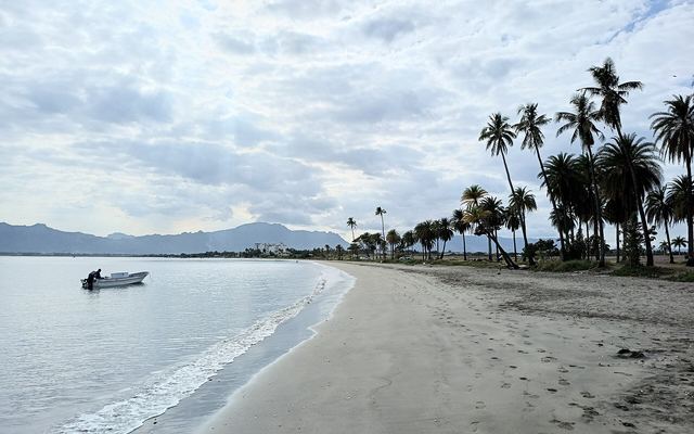 Wailoaloa Beach bij Nadi met palmen en een vissersbootje