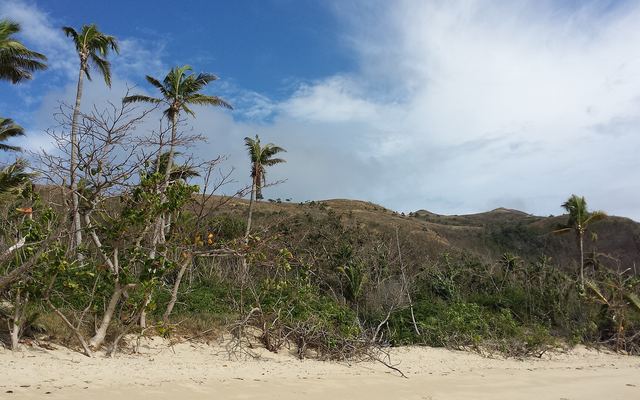Palmbomen aan een wit strand op Naviti in de Yasawa-eilanden