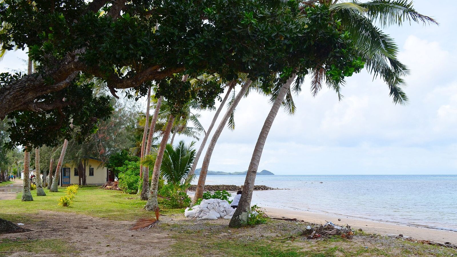 Strand met palmen en een huisje op Vanua Balavu