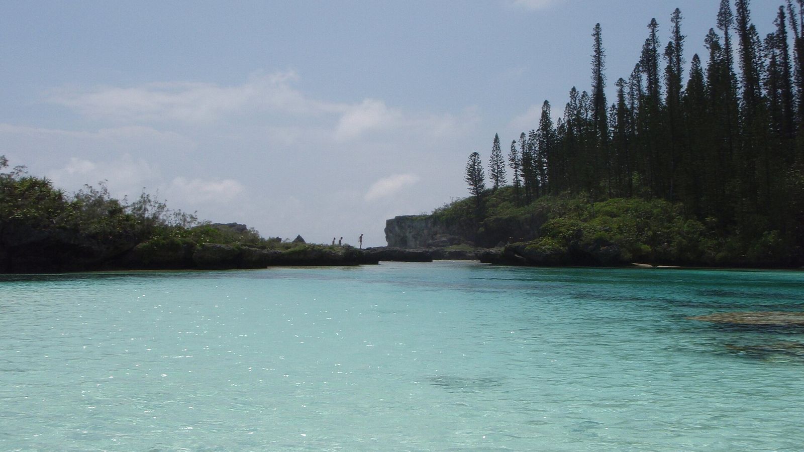 Turquoise natuurlijk zwembad van Oro op het Île des Pins in Nieuw-Caledonië, omzoomd door araucaria's
