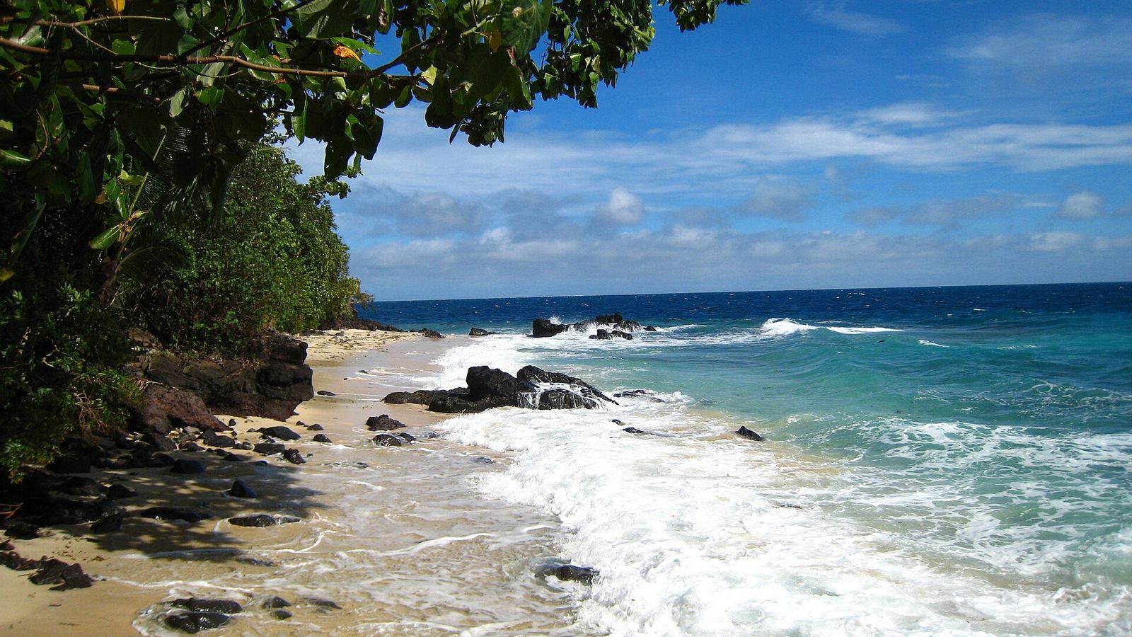 Royal Davui Island vanaf het water gezien, met palmen en villa's tussen het groen