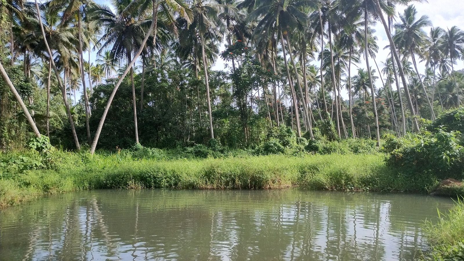 Hete modderpoel bij Savusavu