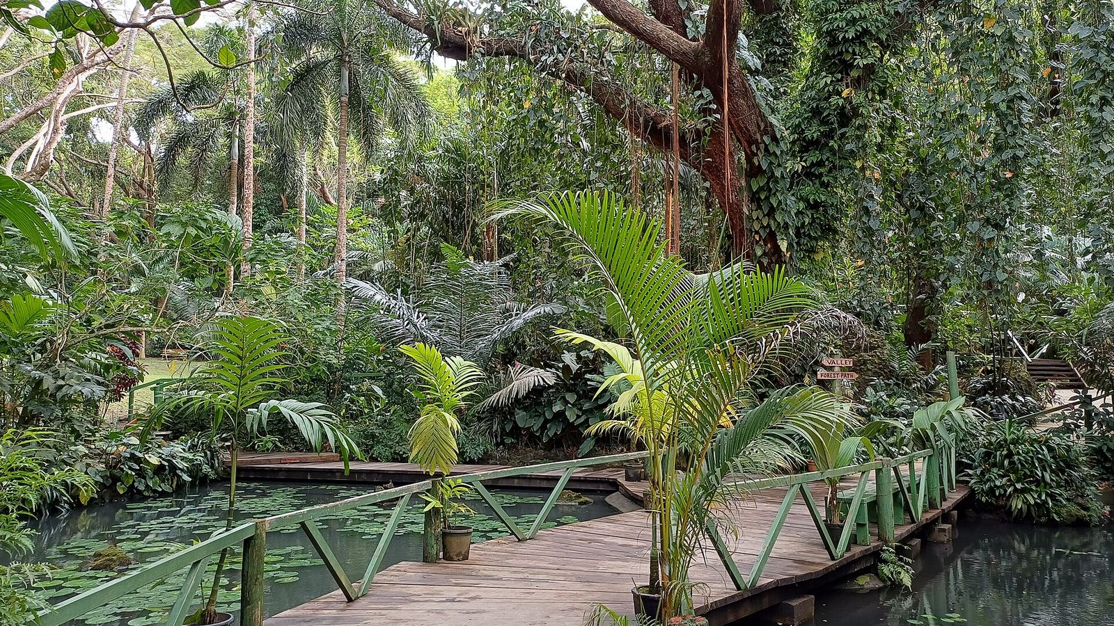 Houten vlonderpad tussen palmen en tropische planten in de Garden of the Sleeping Giant bij Nadi