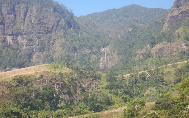 Smalle waterval in een groene, beboste vallei van het Koroyanitu National Heritage Park op Viti Levu